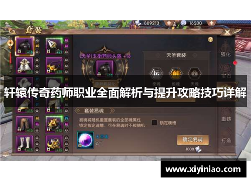 轩辕传奇药师职业全面解析与提升攻略技巧详解