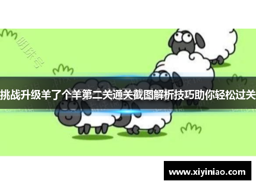 挑战升级羊了个羊第二关通关截图解析技巧助你轻松过关
