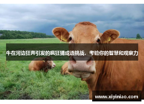 牛在河边狂奔引发的疯狂猜成语挑战，考验你的智慧和观察力