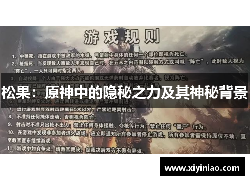 松果：原神中的隐秘之力及其神秘背景