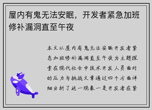 屋内有鬼无法安眠，开发者紧急加班修补漏洞直至午夜